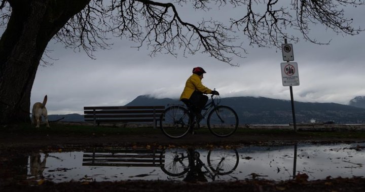 Wet weekend: Rainfall warning issued for B.C. Lower Mainland – BC [Video]