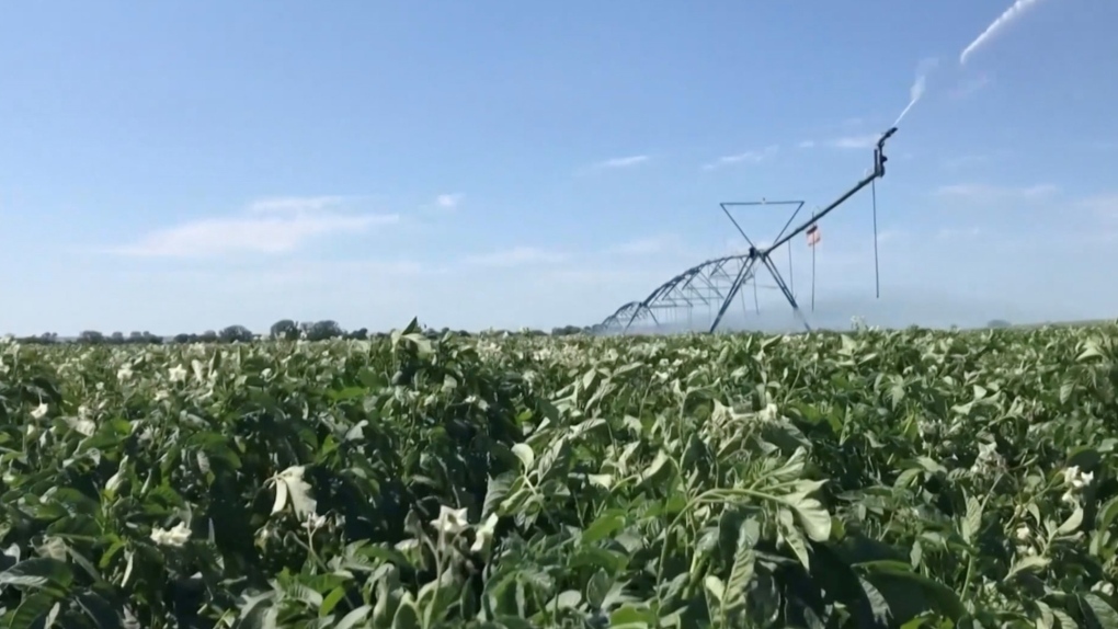 Concerns raised over Sask. irrigation project [Video]