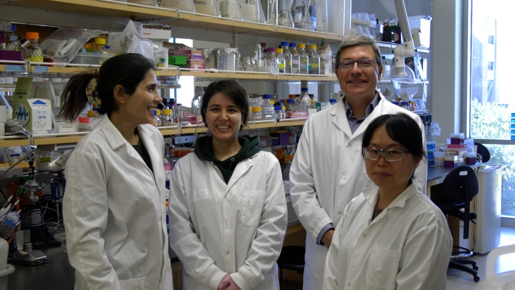 Sask., U.S. researchers discover protein that could unlock better cancer treatments [Video]