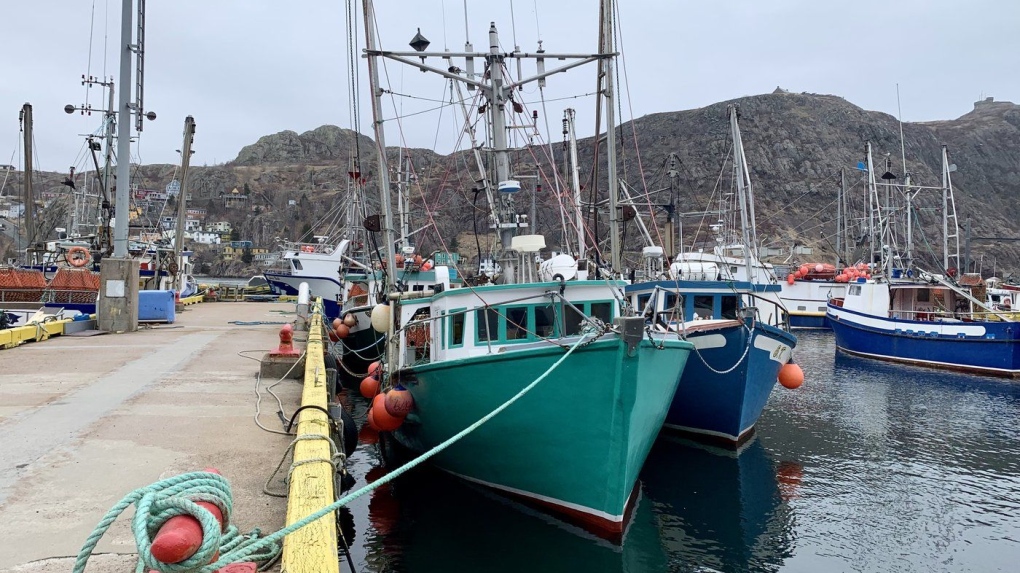 Newfoundland fishery temporarily paused as limit is reached [Video]