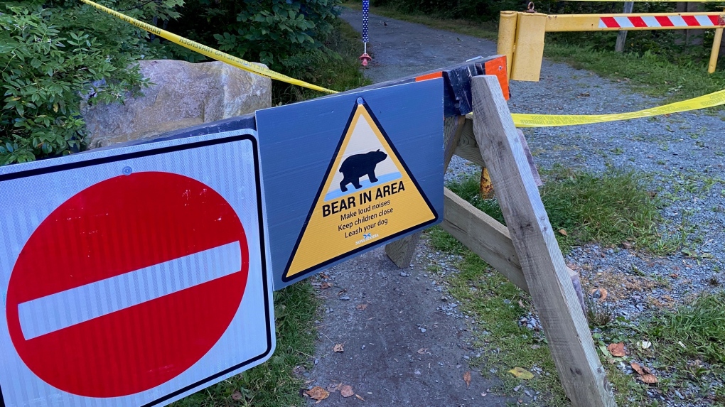 Possible bear attack under investigation in Halifax area [Video]