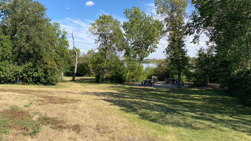 Dutch Elm Disease confirmed in Wascana Centre, tree removed [Video]