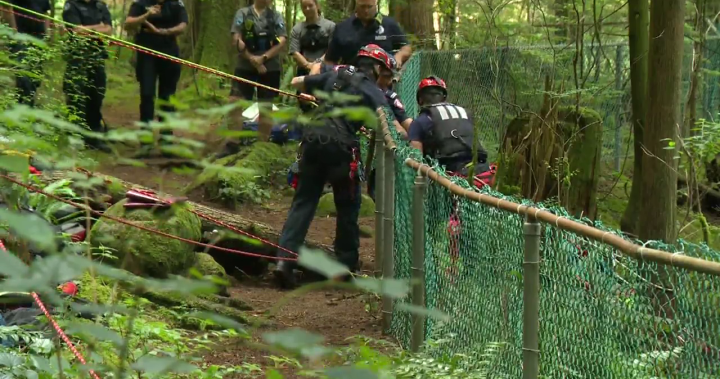 17-year-old falls to his death at Lynn Canyon Park in North Vancouver – BC [Video]