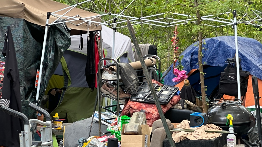 Windsor homeless man admits to encampment chaos [Video]