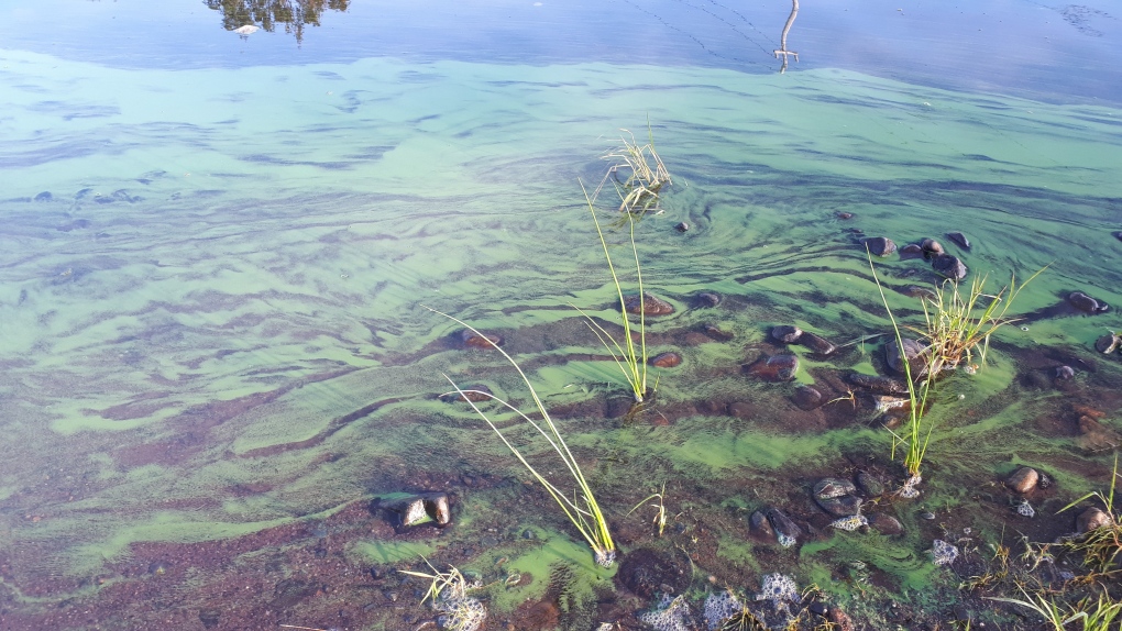 N.S. news: Springfield Lake Beach closed [Video]