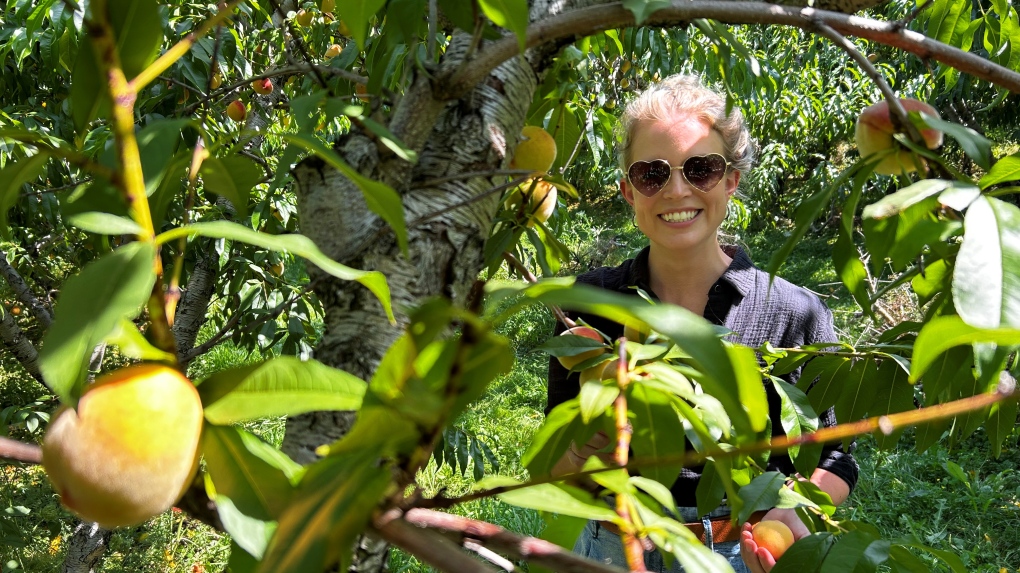 N.S. farmers see strong crops this summer [Video]