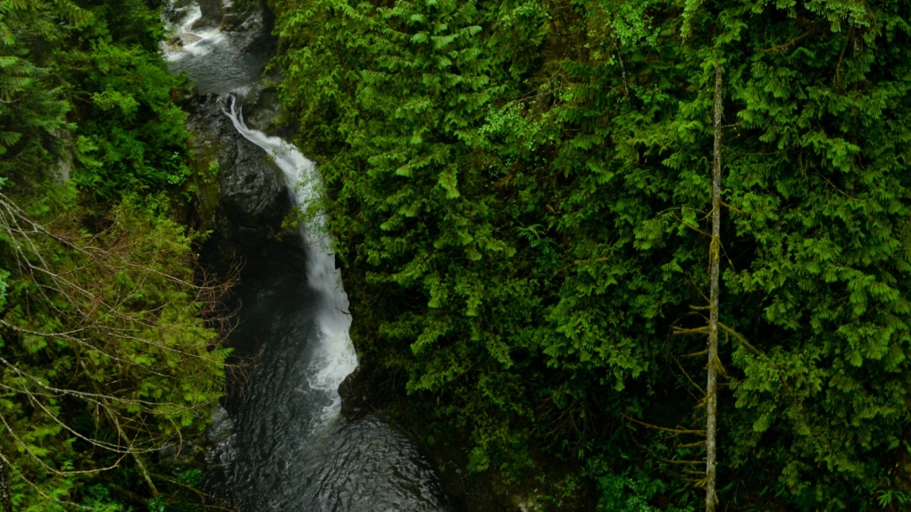 Teenager who fell to his death in Lynn Canyon was from Ontario [Video]