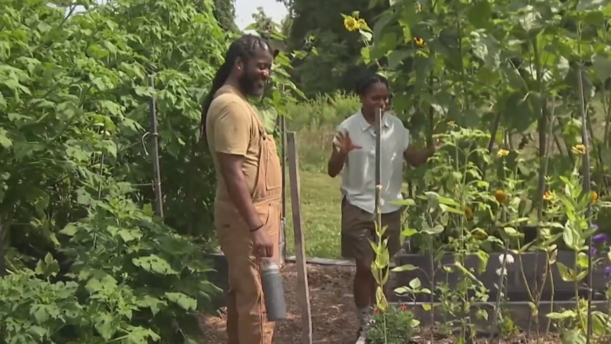 Venture Farming Institute seeks to grow Connecticuts BIPOC farmers  NBC Connecticut [Video]