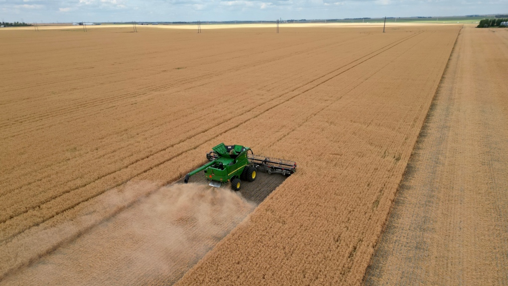 Sask. producers report 25% of crops harvested [Video]