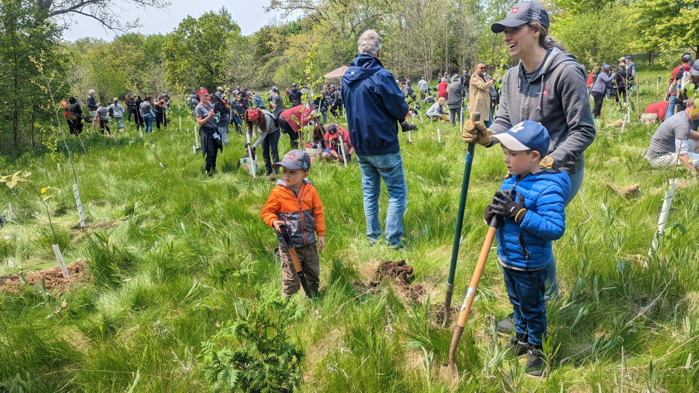 ReForest London ending program | CTV News [Video]