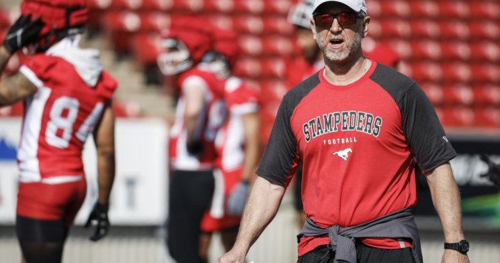 Calgary Stampeders look to earn win against Edmonton Elks on Labour Day [Video]