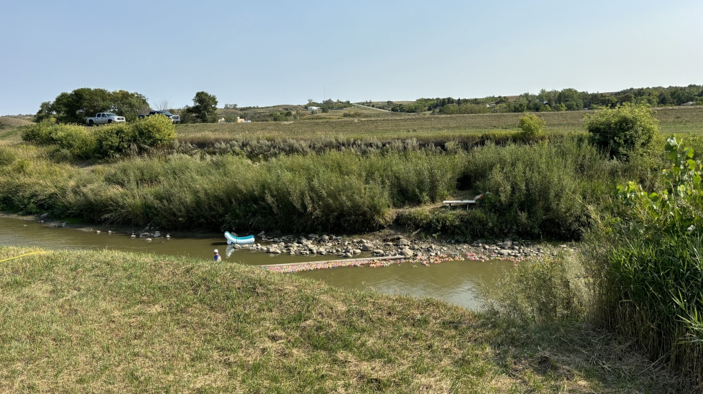 Lumsden’s 36th duck derby makes a splash [Video]