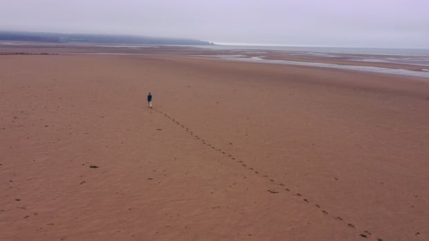 Access to Fundy beach restricted by landowner fed up with garbage, fires, human waste [Video]