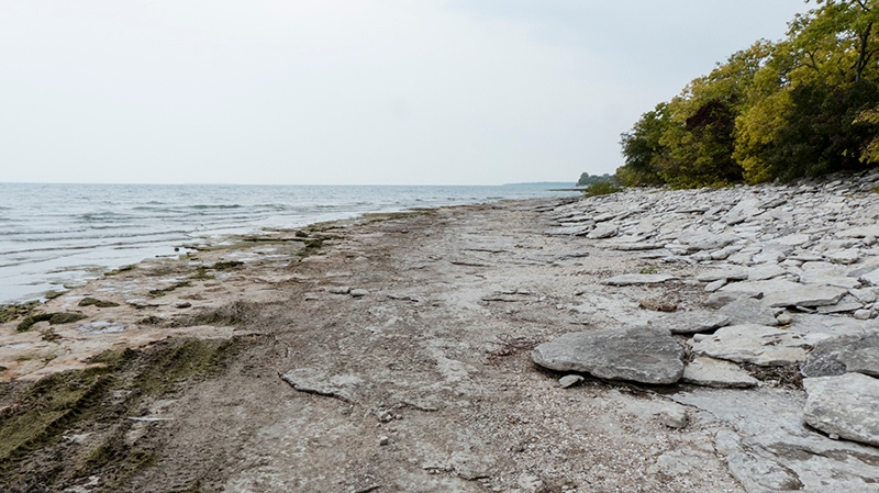 Controlled burn taking place on Pelee Island [Video]