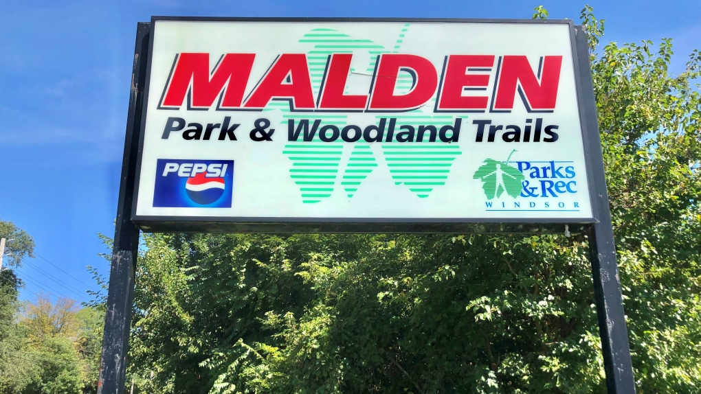 Windsor police training in Malden Park [Video]