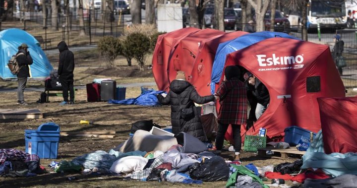 Halifax police union criticizes civilian review of 2021 homeless encampment evictions – Halifax [Video]