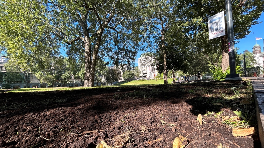 McGill University students return to class after tense summer [Video]