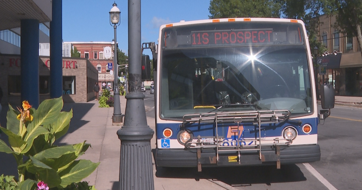 Fredericton Transit proposes route changes and increased service – New Brunswick [Video]