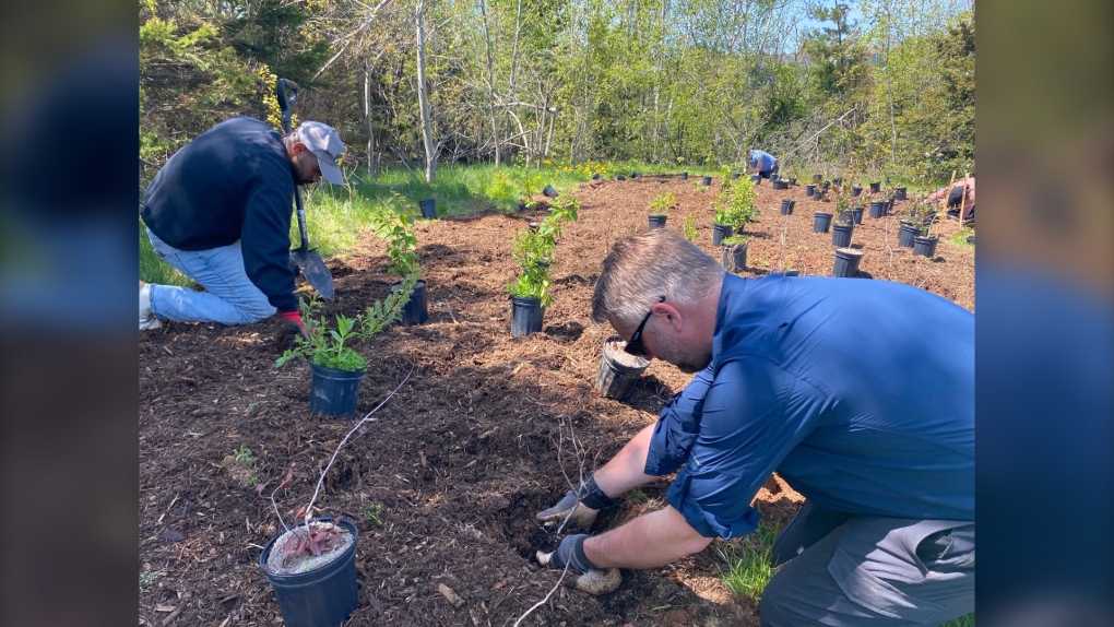 P.E.I. news: Applications for Operation Releaf program still open [Video]