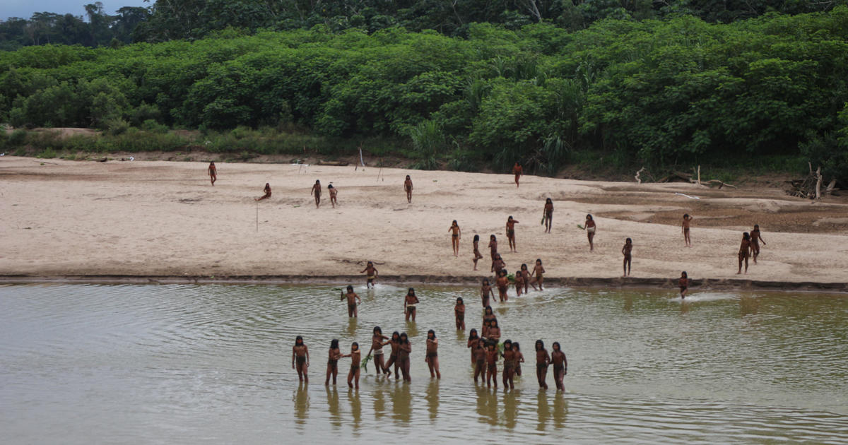 Reclusive tribe armed with bows and arrows kills loggers allegedly encroaching on their land in Peru, group says [Video]