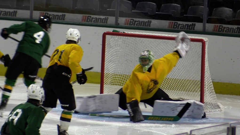 London Knights season roster in limbo as OHL pre-season gets underway [Video]