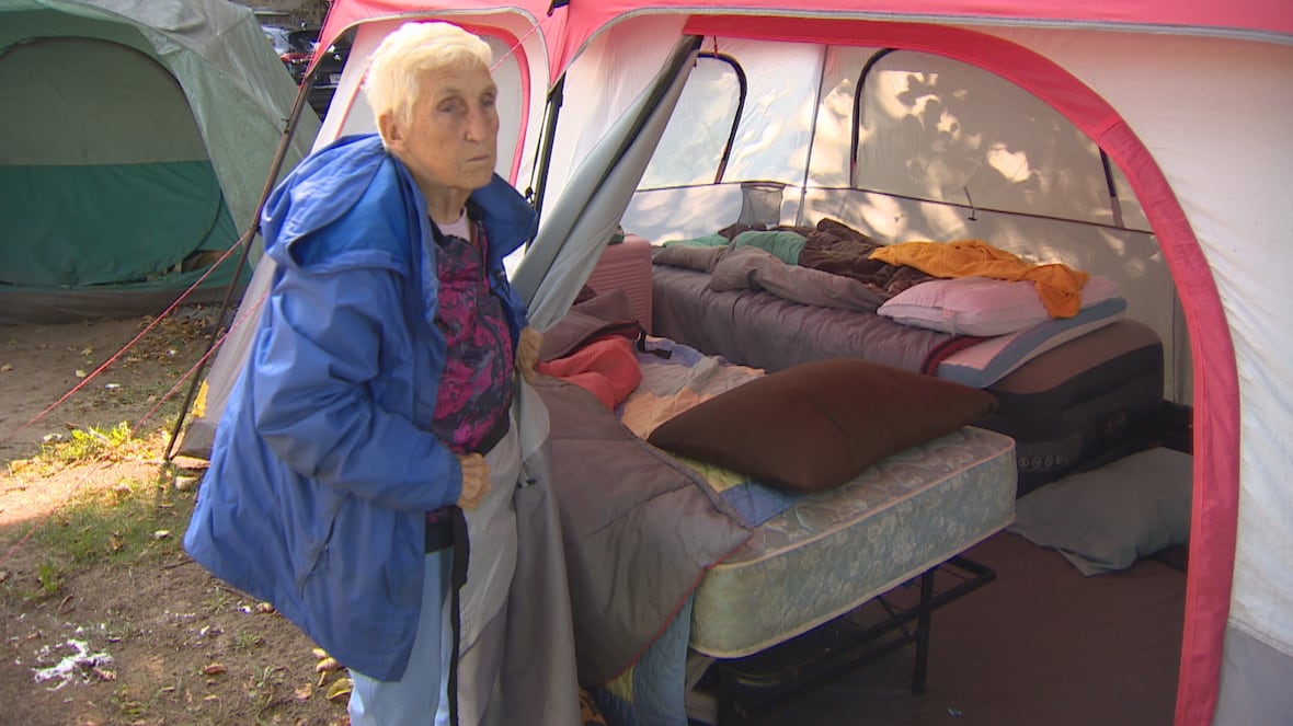 Halifax seniors living in tent encampment desperate for safe housing [Video]