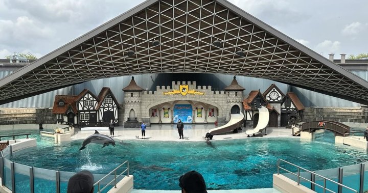 Marineland owner Marie Holer dies, park says succession plan in place – Toronto [Video]