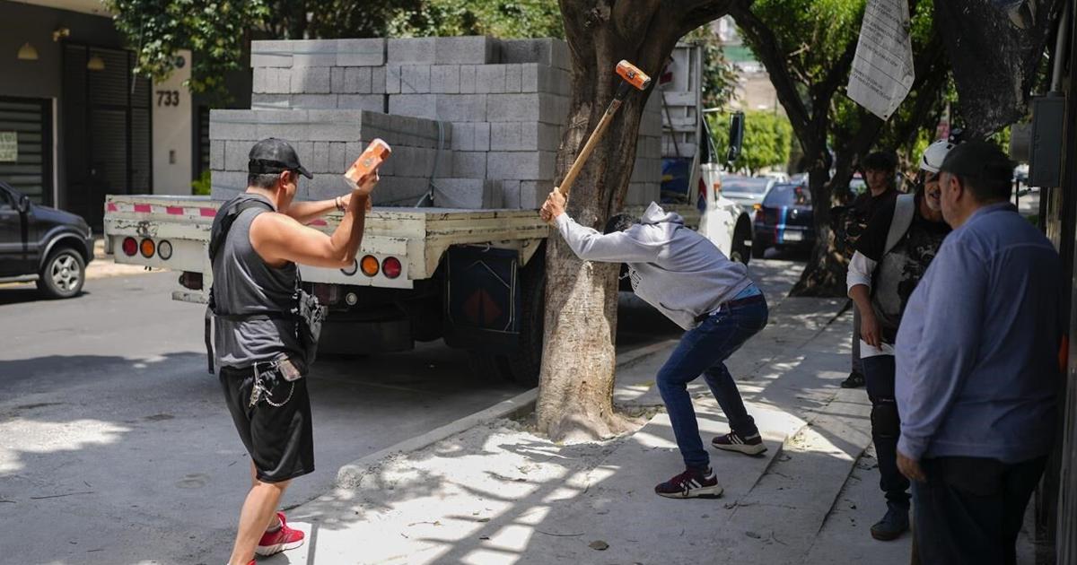 El Comandante Hernndez leads Tree Army in defense of Mexico Citys trees [Video]