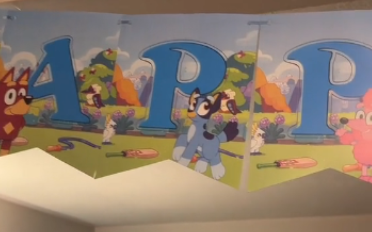 Mom Thinks She Bought ‘Bluey’ Birthday Decorations, Then She Looks Closer [Video]