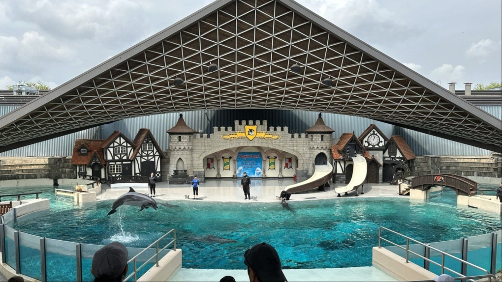 Marineland owner dies, park says ‘succession plan’ in place [Video]