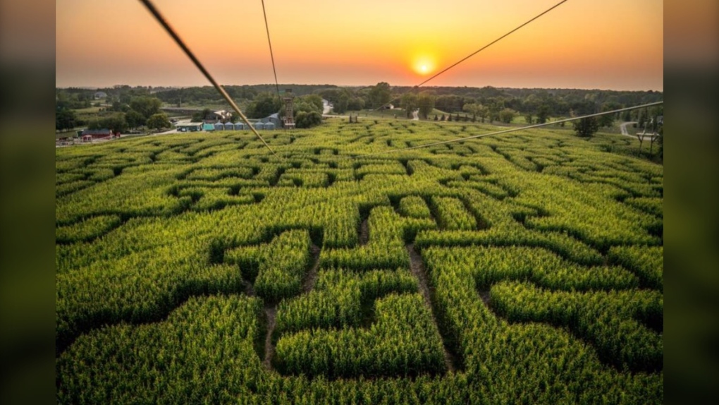 How Manitoba’s corn mazes are created [Video]