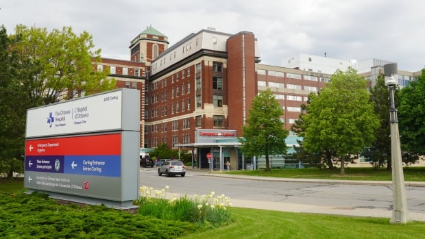 Ottawa Hospital treating more victims of sexual assault, intimate partner violence [Video]