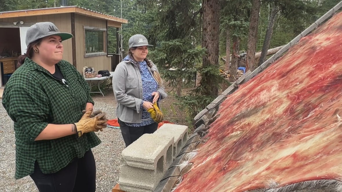 Hide camp in Yukon a ‘really great healing place’ for sisters who co-own Copper Caribou [Video]