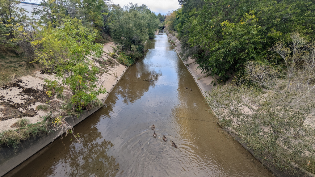 Spill cleaned up in Kitchener creek [Video]