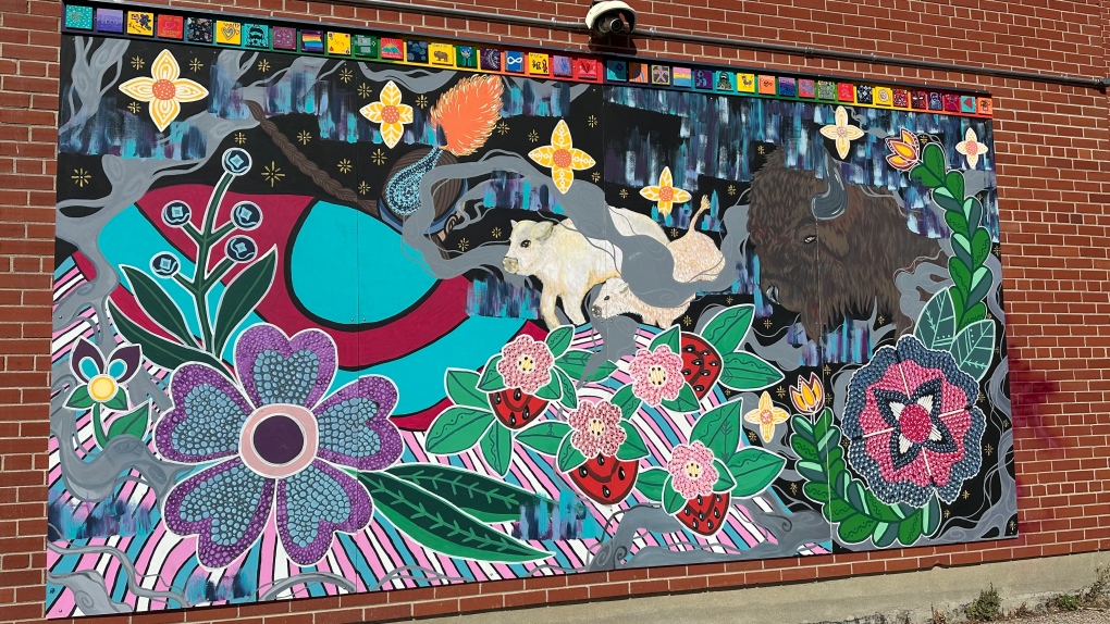 Mural showcasing diversity and youth unveiled in North Central community [Video]