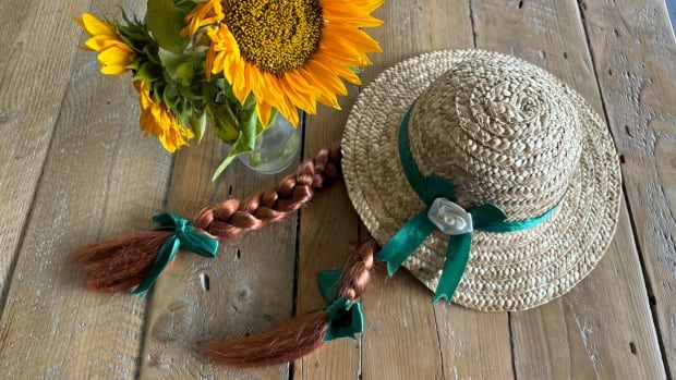 Renowned Stratford Festival commissions new Anne of Green Gables play [Video]