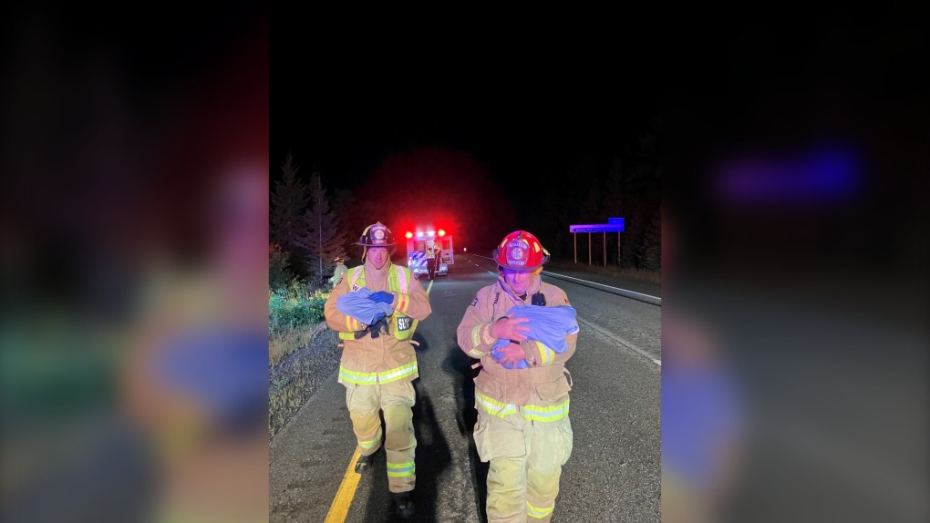 Rollover on Highway 417 in Ottawa: Firefighters safely extricate 2 people, save 2 cats trapped inside [Video]