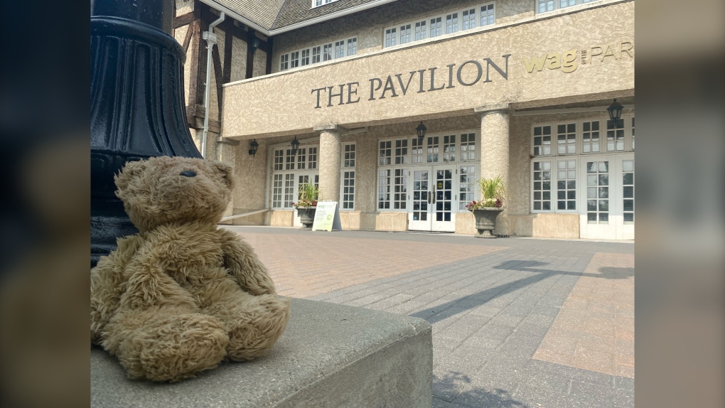 Winnipeg’s Teddy Bears’ Picnic returns [Video]