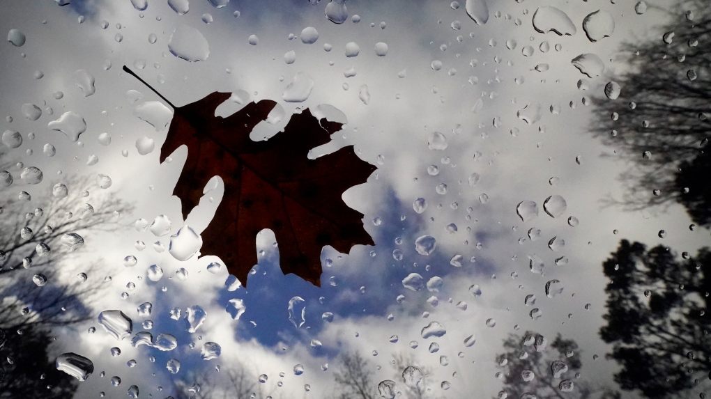 Maritime weather: Rain totals for N.S. this past weekend [Video]