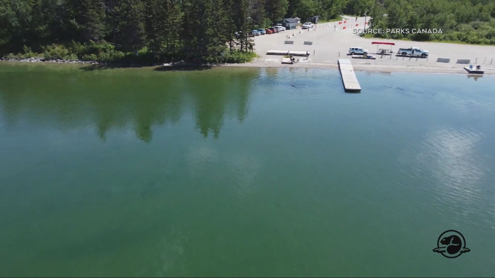 Zebra mussel containment curtain in Clear Lake to be removed after taking damage [Video]