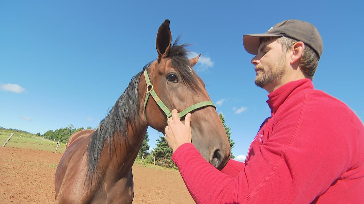 A father’s legacy: Making racehorse ownership in P.E.I. more affordable [Video]