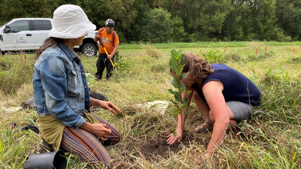 World Suicide Prevention Day: Forest of Hope planted in Winnipeg [Video]