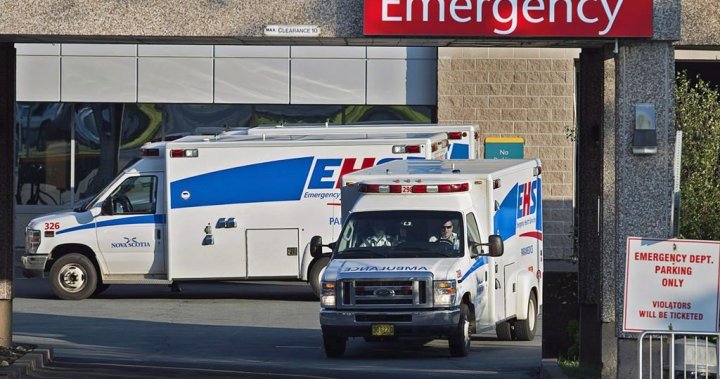 Nova Scotias ambulance service says response times improving in 2024 – Halifax [Video]