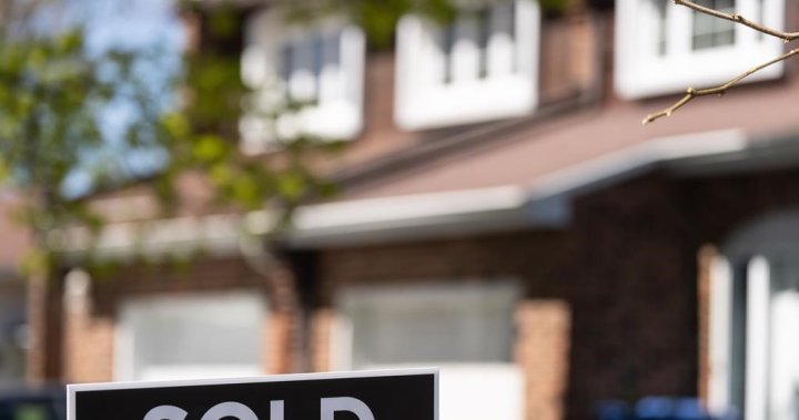 Real estate brokers suspended for using bogus bids to drive up Quebec home prices – Montreal [Video]