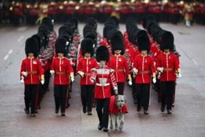 UK military urged to stop using bearskin hats on cost grounds [Video]