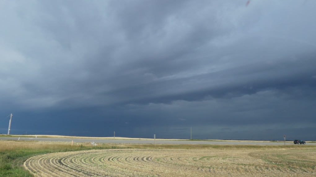 Calgary weather: Rain, cold and wind for Thursday [Video]