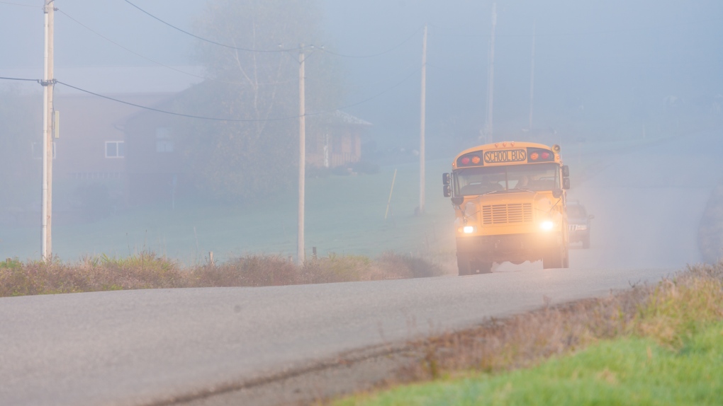 Essex County buses cancelled | CTV News [Video]