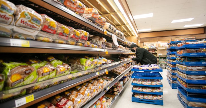 Canada Bread claims Maple Leaf used it as shield in bread price-fixing case – National [Video]