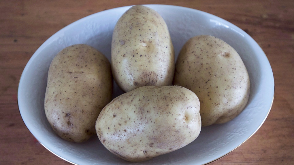 N.B. news: Potato farmers to be compensated for 2023 season [Video]