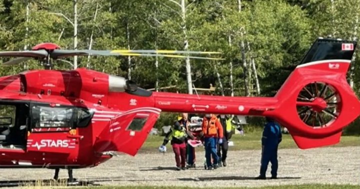 Man in serious condition after bear attack near Alberta-B.C. border [Video]